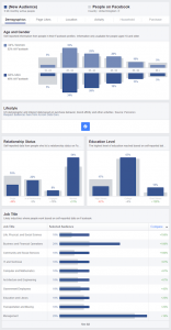 Using Facebook Audience to get more data and insights about your travel customers and build better personas