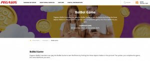 Pegasus Airline Website and BolBol Game